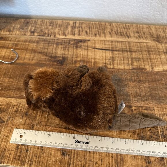Cuddlekins Mini Beaver 8 Inch Stuffed Animal 10854 Tag Bent Realistic Toy Wild - Picture 7 of 8